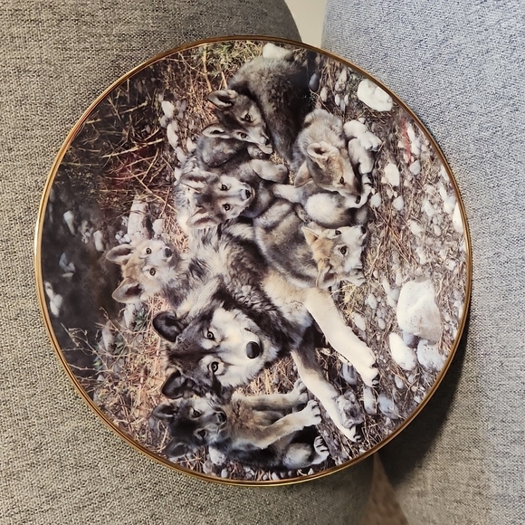 Set of 2 Collectors Plates - Picture 2 of 5